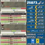 کلن کلش اف کلنز لول 20 کد 25073